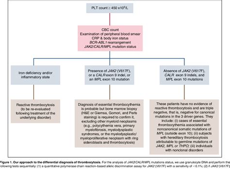 trombocitemie esentiala|How I treat essential thrombocythemia 